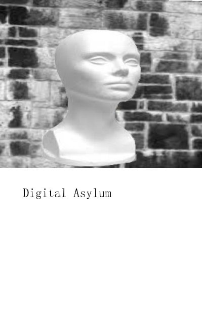 View Digital Asylum by J. Gomez...