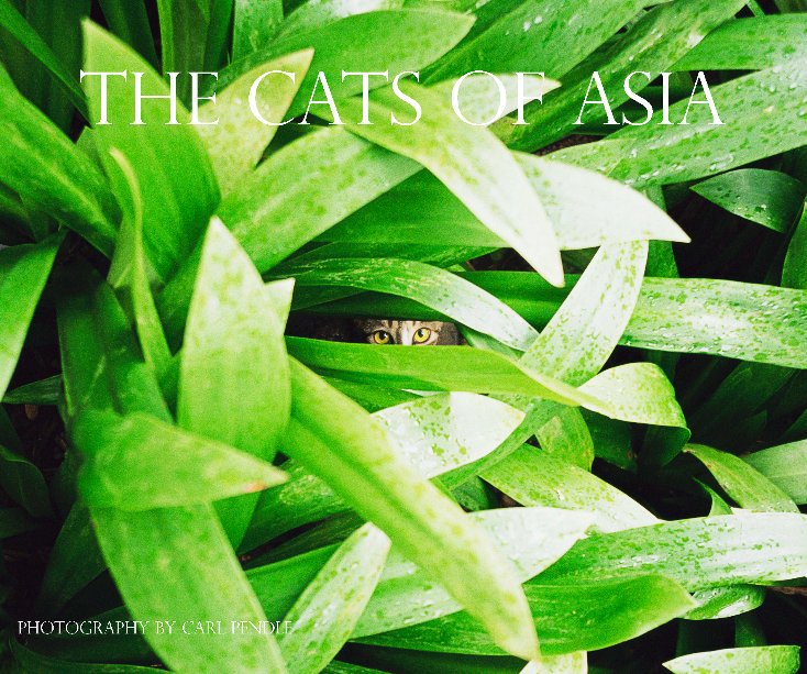 Ver The Cats of Asia por Carl Pendle