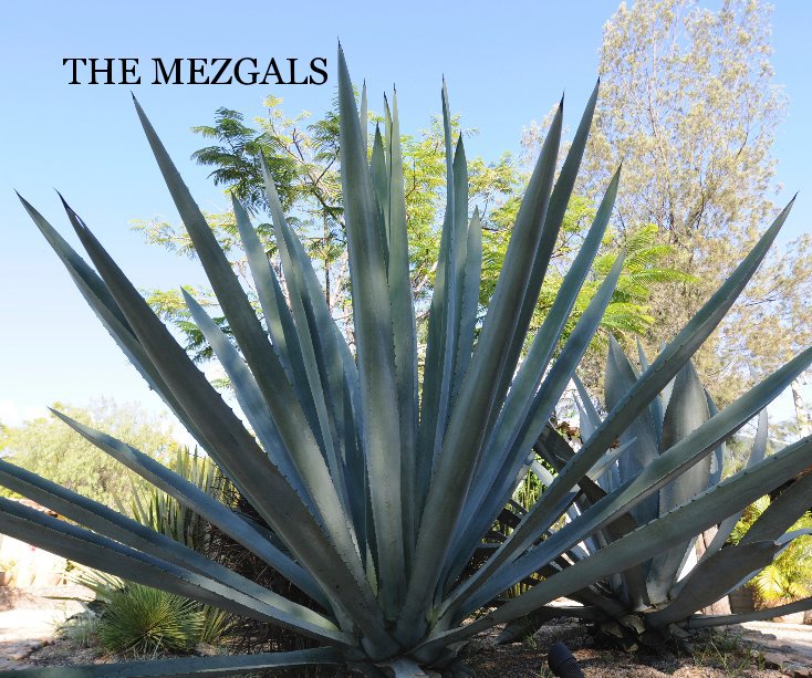 View THE MEZGALS by Sandra Hurlong, PhD