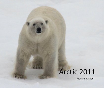 Arctic 2011 book cover