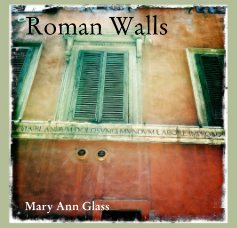 Roman Walls book cover