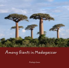 Among Giants in Madagascar book cover