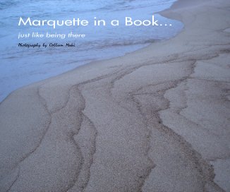 Marquette in a Book... book cover