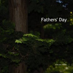 Fathers' Day book cover