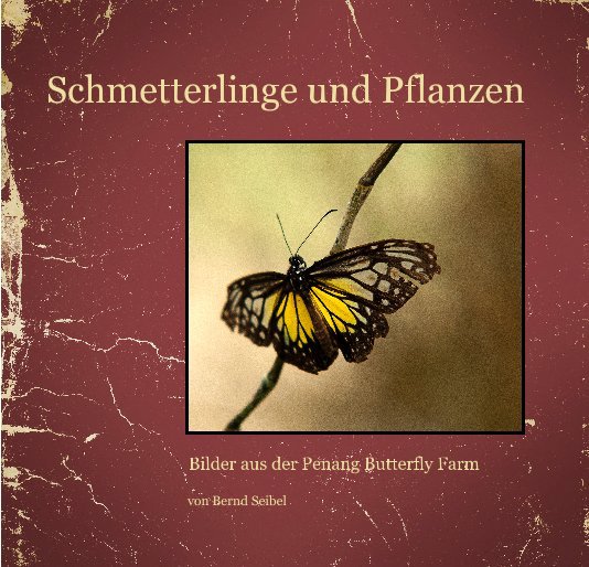 View Schmetterlinge und Pflanzen by von Bernd Seibel