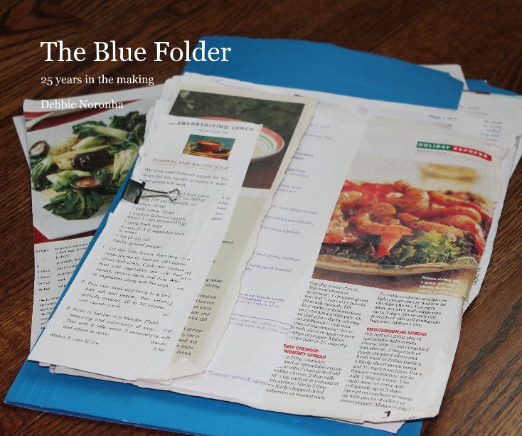 View The Blue Folder by Debbie Noronha
