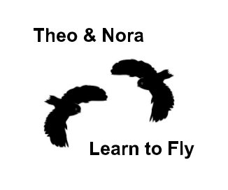 Theo and Nora Learn to Fly book cover