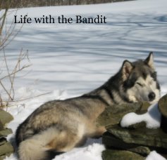 Life with the Bandit book cover