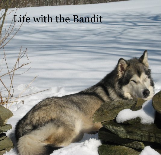 View Life with the Bandit by R. Silverthorn