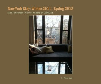 New York Stay: Winter 2011 - Spring 2012 book cover
