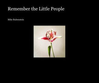 Remember the Little People book cover