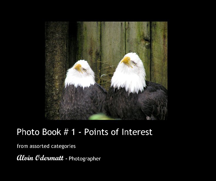 View Photo Book # 1 - Points of Interest by Alvin Odermatt - Photographer