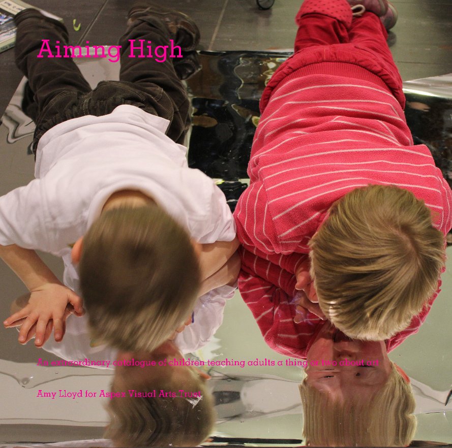 View Aiming High by Amy Lloyd for Aspex Visual Arts Trust