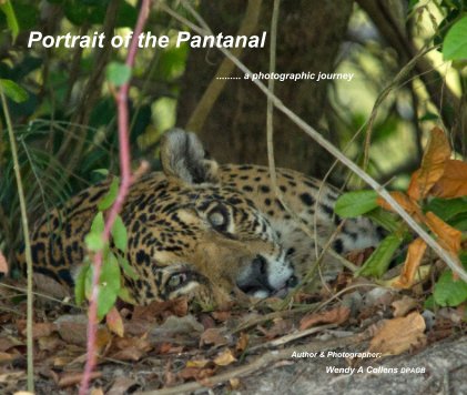 portrait of the pantanal-coffee table book cover