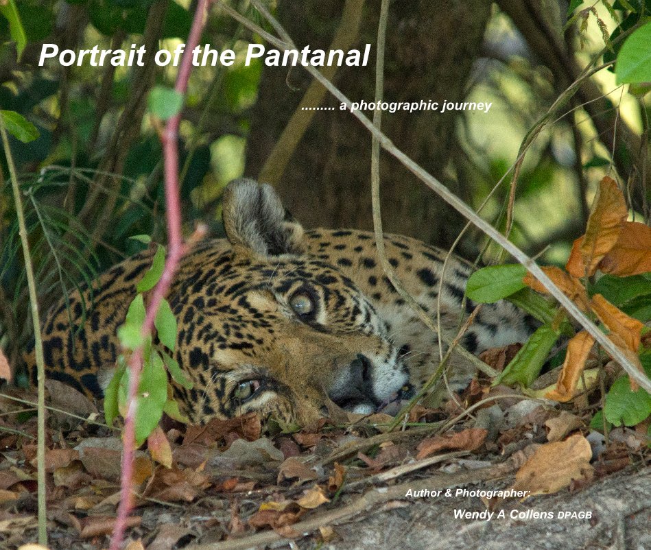 portrait of the pantanal-coffee table nach Author & Photographer: Wendy A Collens DPAGB anzeigen
