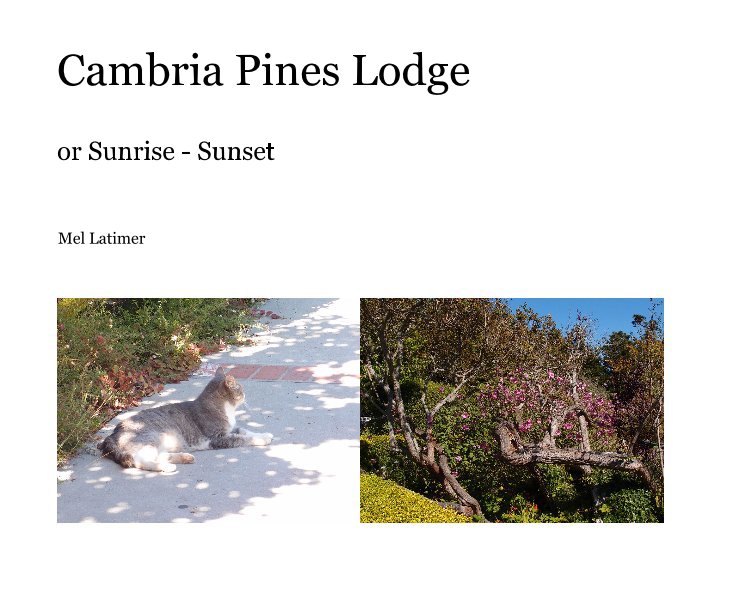 View Cambria Pines Lodge by Mel Latimer