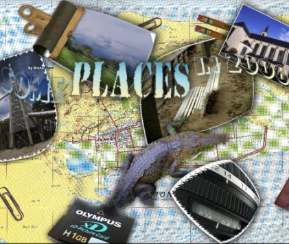 Some PLACES in 2008 book cover