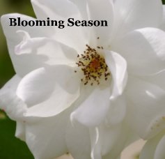 Blooming Season book cover