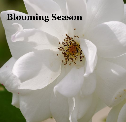 View Blooming Season by JouSiS