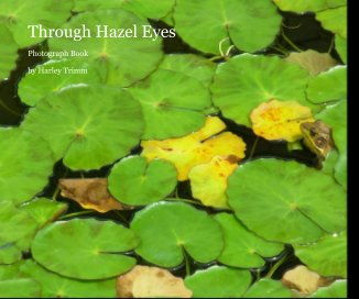 Through Hazel Eyes book cover