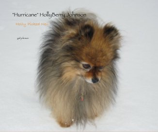 "Hurricane" HollyBerry Johnson book cover