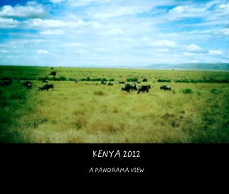 KENYA 2012 book cover