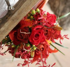 I Do book cover