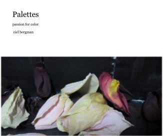 Palettes book cover