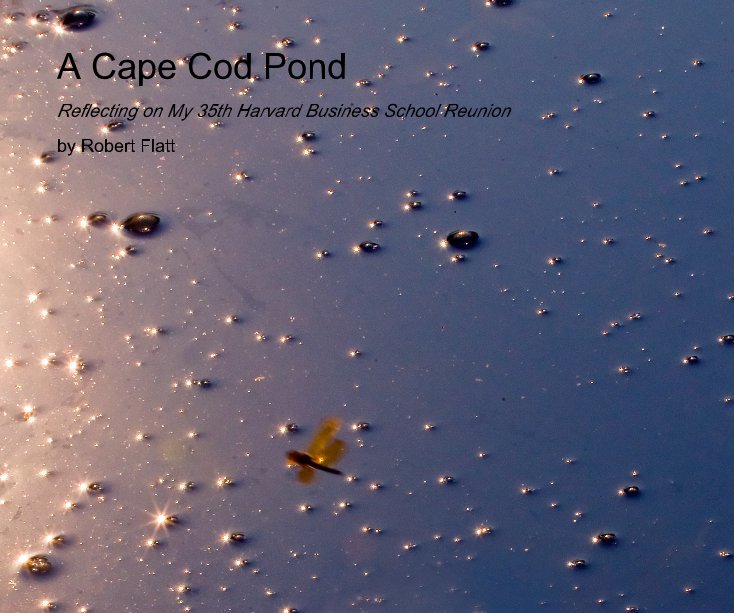 View A Cape Cod Pond by Robert Flatt