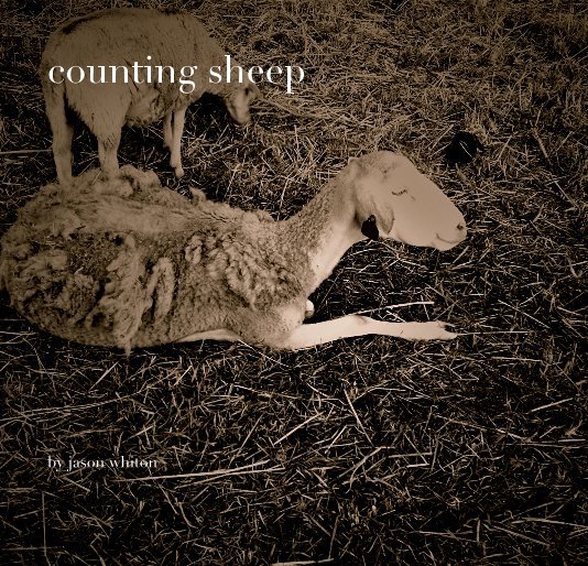 View counting sheep by jason whiton