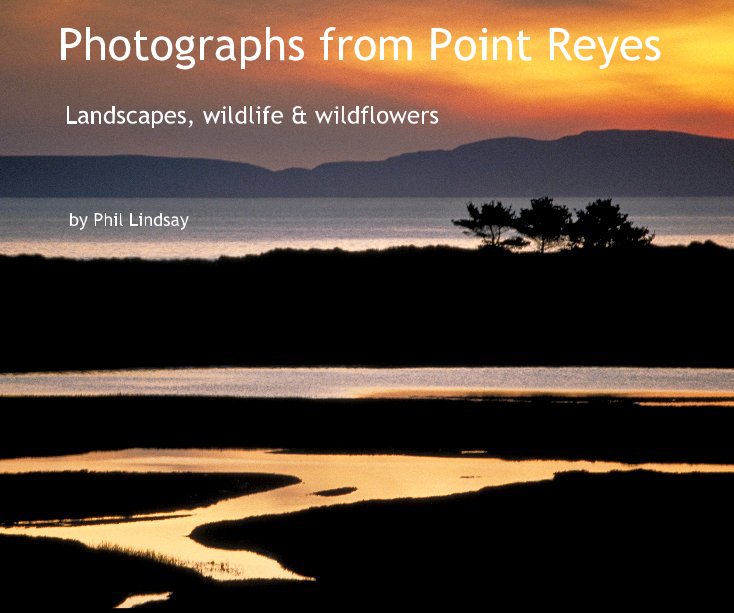 View Photographs from Point Reyes by Phil Lindsay