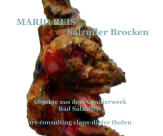 MARIO REIS | Salzufler Brocken book cover