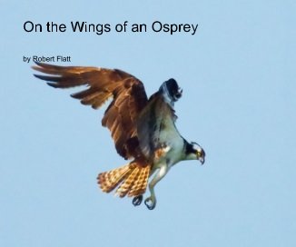 On the Wings of an Osprey book cover