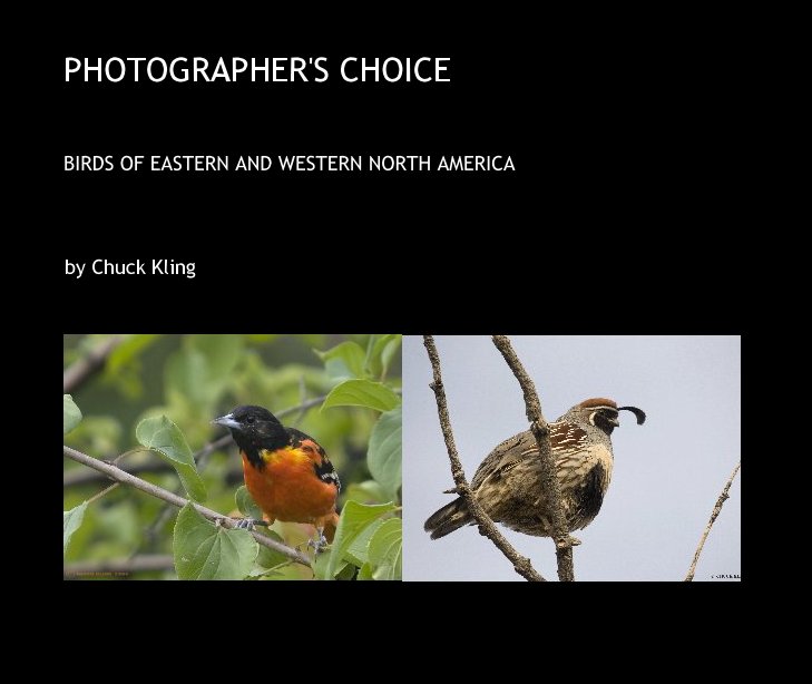 Bekijk PHOTOGRAPHER'S CHOICE op Chuck Kling