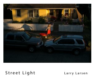 Street Light book cover