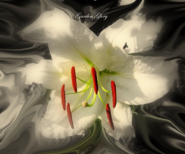 View Garden Glory by coldenberg