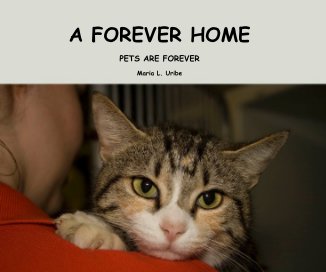 A FOREVER HOME book cover