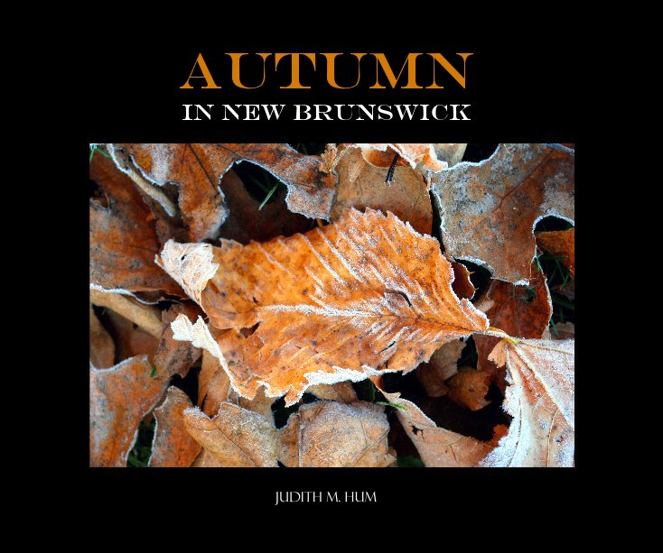 View Autumn in New Brunswick by Judith M. Hum