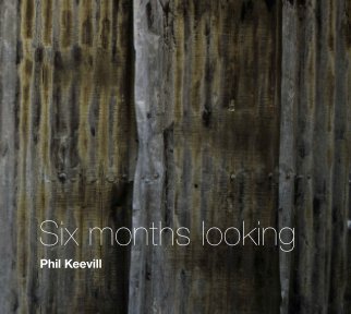 Six months looking book cover