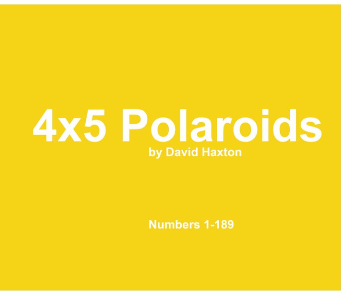 View Polaroid 1-189 by David Haxton