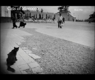 Cats of Morocco book cover