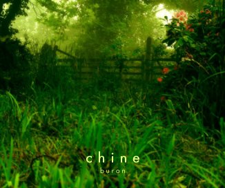 Chine book cover
