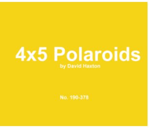 polaroid 190-378 book cover