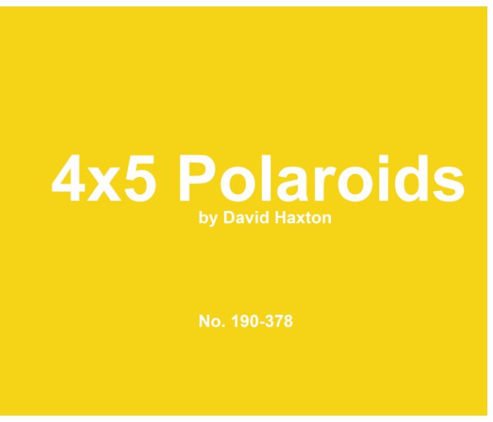 Visualizza polaroid 190-378 di David Haxton
