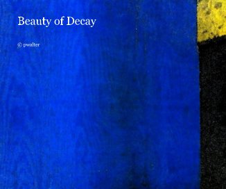 Beauty of Decay book cover