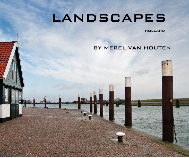 View LANDSCAPES by MEREL VAN HOUTEN