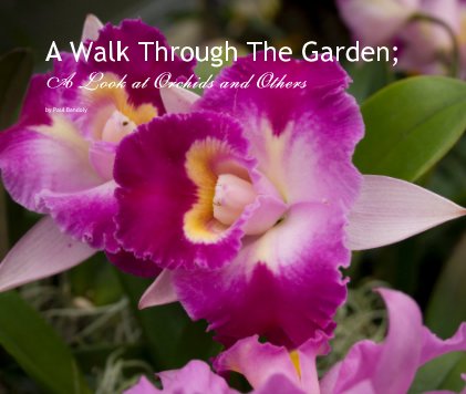 A Walk Through The Garden; A Look at Orchids and Others book cover