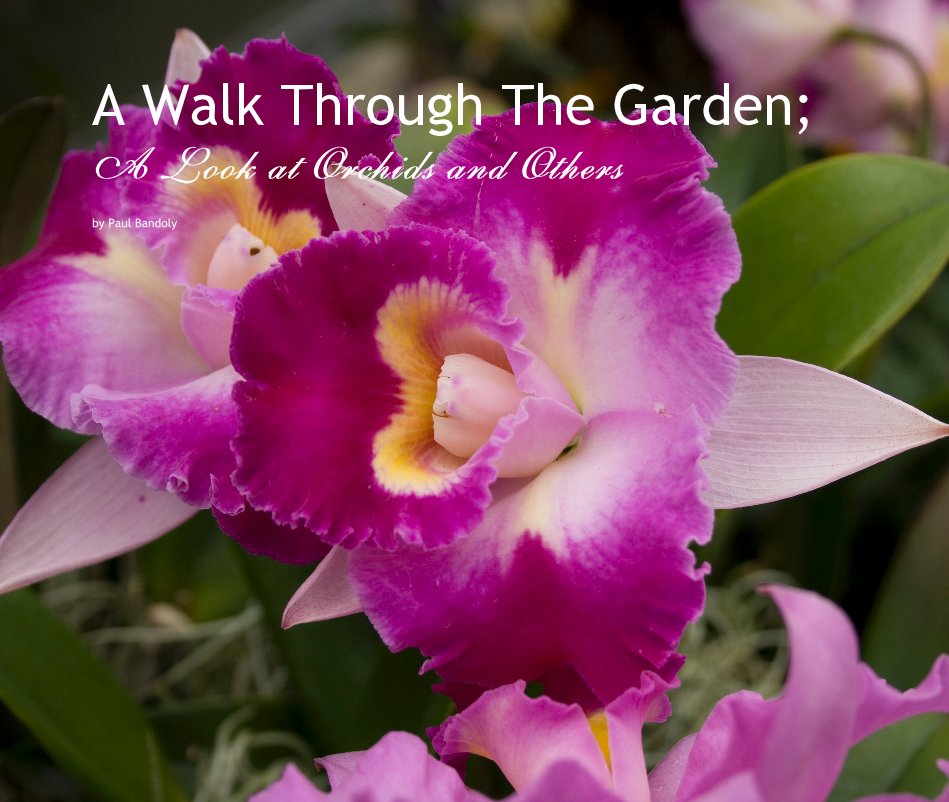 View A Walk Through The Garden; A Look at Orchids and Others by Paul Bandoly