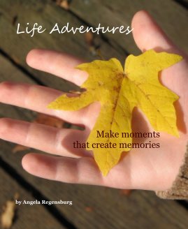 Life Adventures book cover