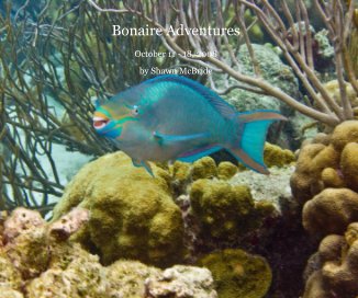 Bonaire Adventures book cover